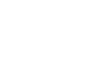 logo bri brins